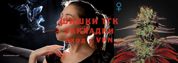 индика Лихославль