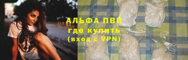 спиды Лиски