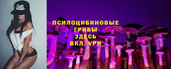 спиды Лиски