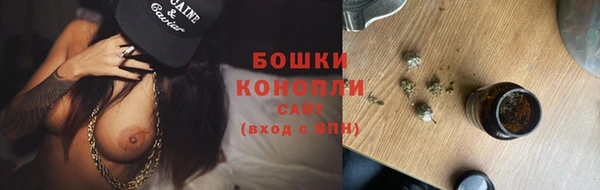индика Лихославль