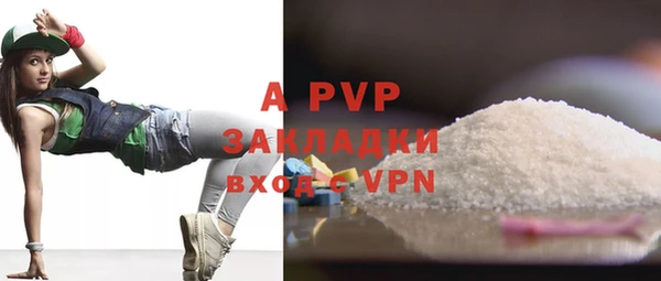 индика Лихославль
