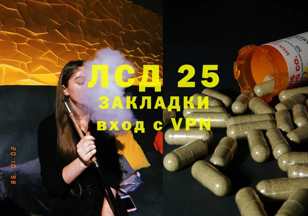 индика Лихославль