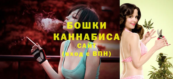 спиды Лиски