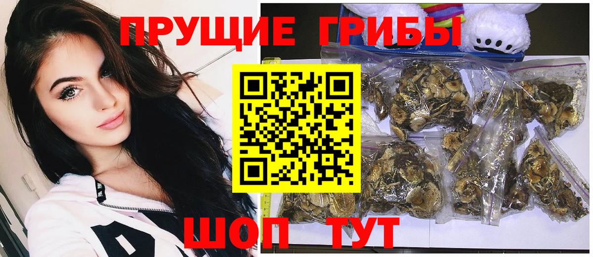 Троицк  Галлюциногенные грибы Magic Shrooms  Вход с VPN 